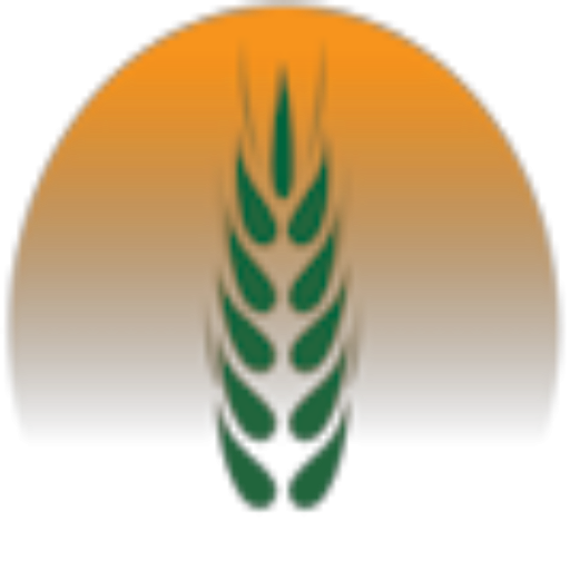 Sawiris Foundation for Social Development logo
